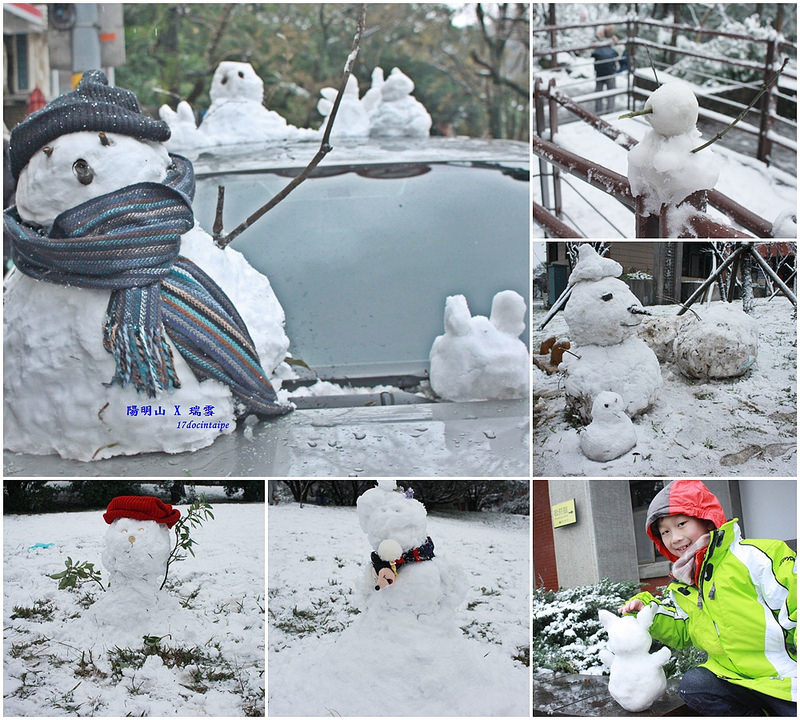 2016-台北陽明山-瑞雪-難得一見的雪白山景-17度C隨拍 (5)