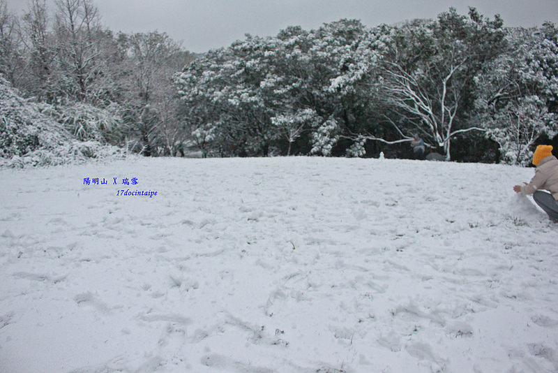 2016-台北陽明山-瑞雪-難得一見的雪白山景-17度C隨拍 (61)