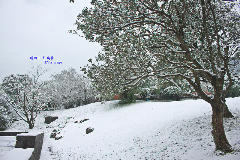 2016-台北陽明山-瑞雪-難得一見的雪白山景-17度C隨拍 (86)