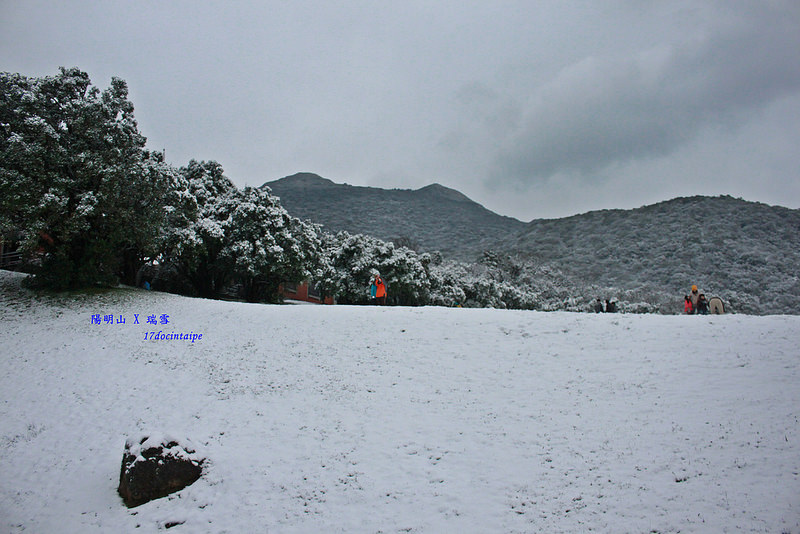 2016-台北陽明山-瑞雪-難得一見的雪白山景-17度C隨拍 (87)