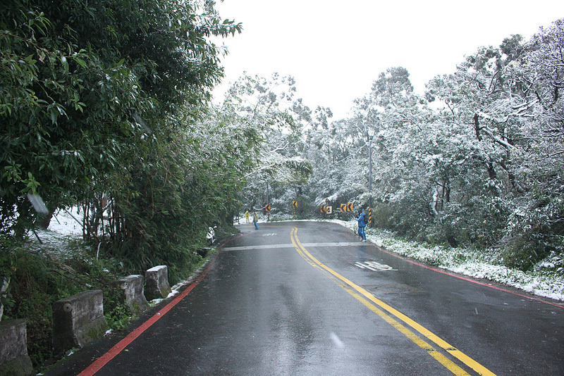 2016-台北陽明山-瑞雪-難得一見的雪白山景-17度C隨拍 (97)