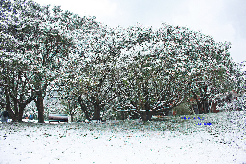 2016-台北陽明山-瑞雪-難得一見的雪白山景-17度C隨拍 (75)