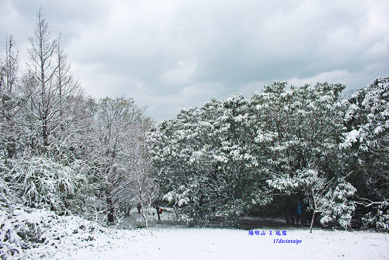 2016-台北陽明山-瑞雪-難得一見的雪白山景-17度C隨拍 (73)