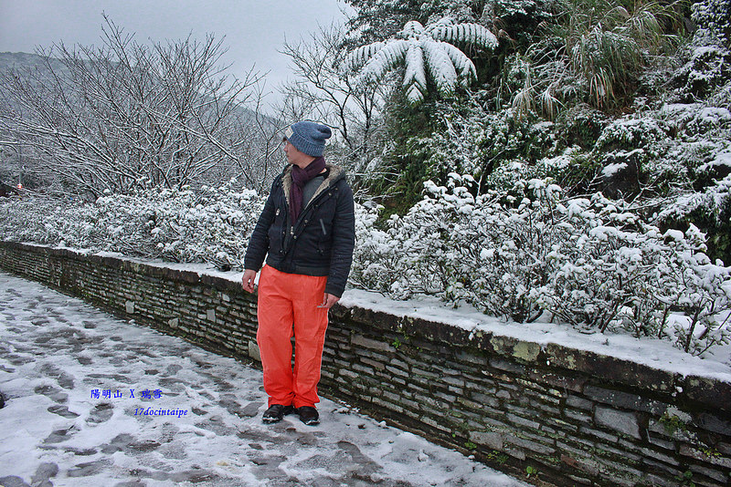 2016-台北陽明山-瑞雪-難得一見的雪白山景-17度C隨拍 (41)