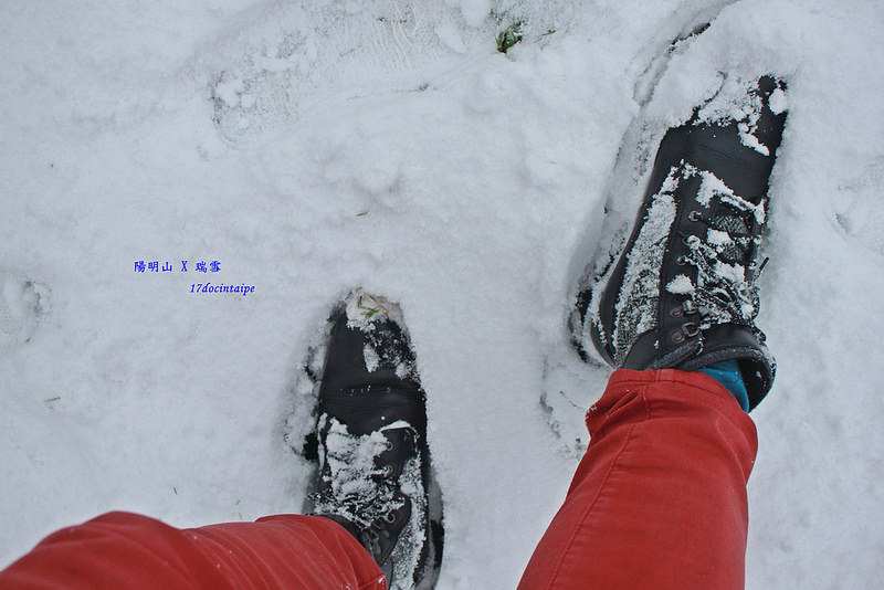 2016-台北陽明山-瑞雪-難得一見的雪白山景-17度C隨拍 (84)