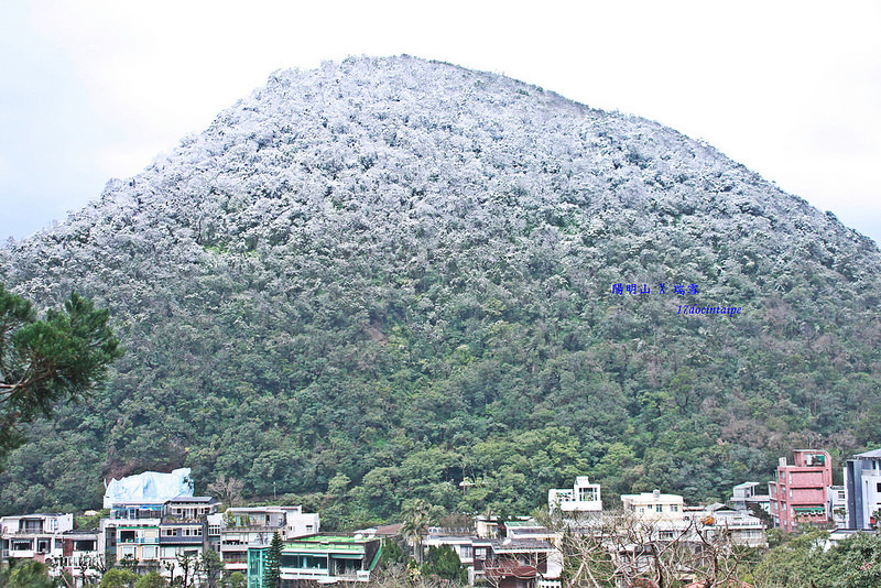 2016-台北陽明山-瑞雪-難得一見的雪白山景-17度C隨拍 (164)