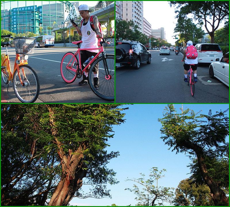 bikeintaipei-17度c隨拍 (3)