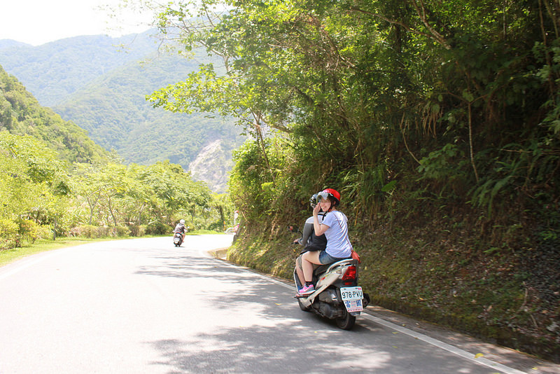 環島沙發旅行-台東-天龍吊橋 (37)