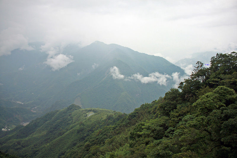 環島。前網上地部落道路-竹60-司馬庫斯產業道路 (28)