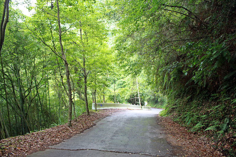 環島。前網上地部落道路-竹60-司馬庫斯產業道路 (49)