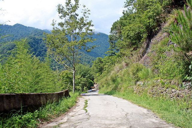 環島。前網上地部落道路-竹60-司馬庫斯產業道路 (55)