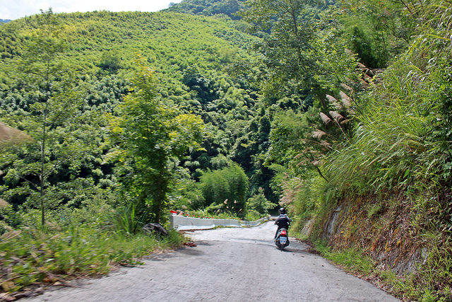 環島。前網上地部落道路-竹60-司馬庫斯產業道路 (67)