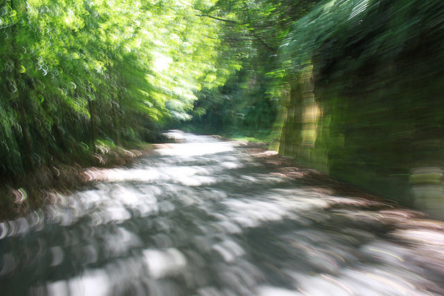 環島。前網上地部落道路-竹60-司馬庫斯產業道路 (63)