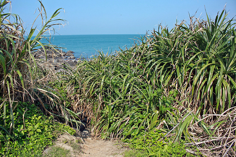 17度C環島旅行-極北點-富貴角燈塔 (17)