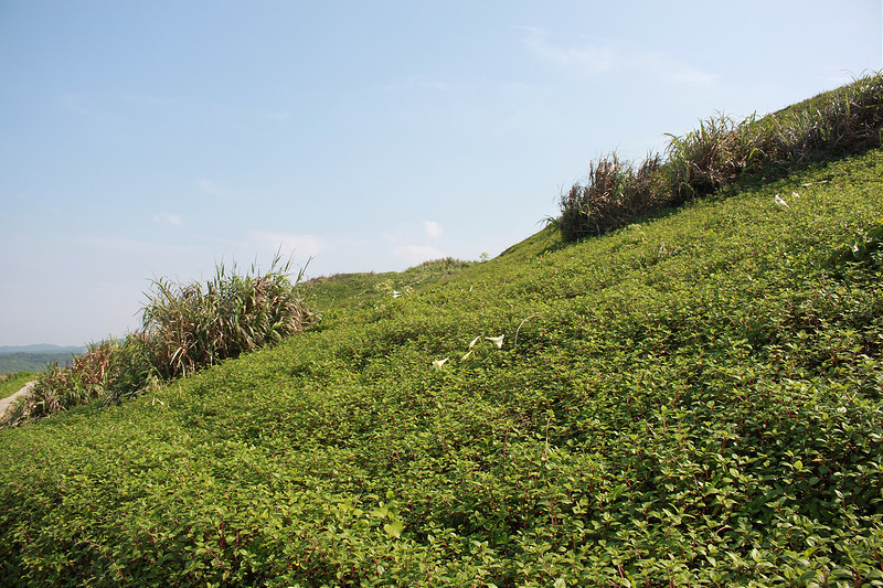 17度C環島旅行-極北點-富貴角燈塔 (34)