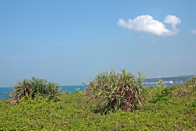 17度C環島旅行-極北點-富貴角燈塔 (27)