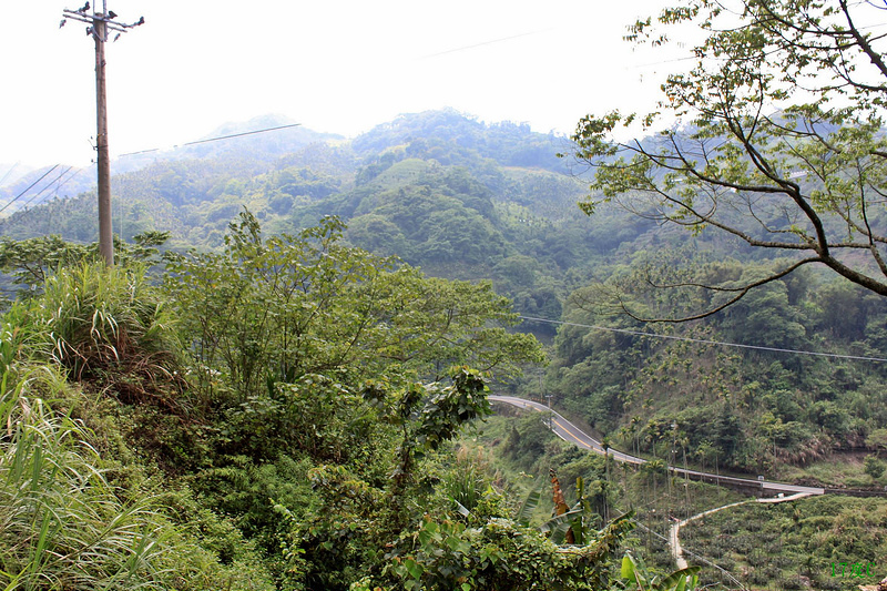 17度C-環島DAY1-往清境的路途美景- (33)