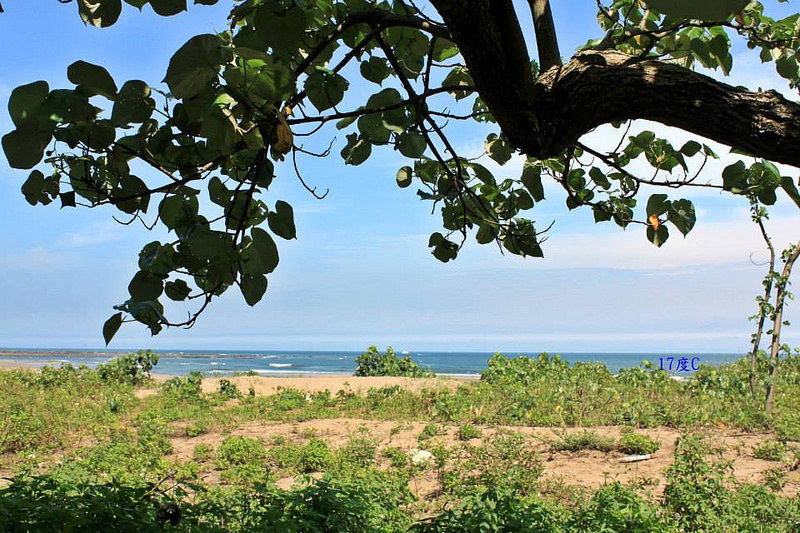 沙板Skim Board體驗-高手教學-11