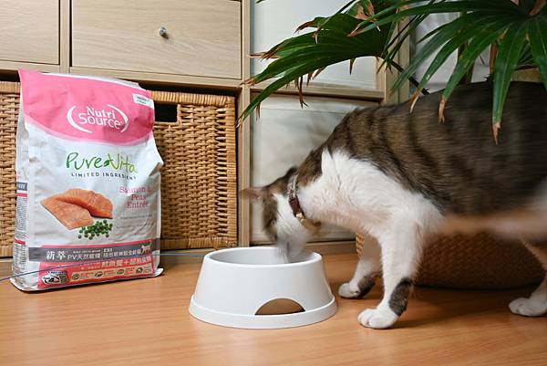 狗貓飼料推薦｜新萃NutriSource，寵物專業廚房！新萃極低敏無穀全齡貓(鮭魚餐+超級食物｜PV天然寵糧單一肉種系列)／新萃無穀全齡犬皮毛養護配方(鮭魚+鯡魚｜NS天然寵糧經典鮮肉系列 )