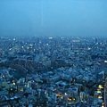 上森美術館看東京夜景