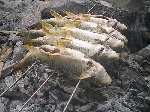 野人花園之七月篇 有花堪折直須折 下 台灣源流釣 溪釣苦花 痞客邦