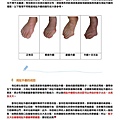 足部健康電子報第6期