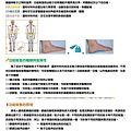 足部健康電子報第32期