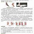 足部健康電子報第42期