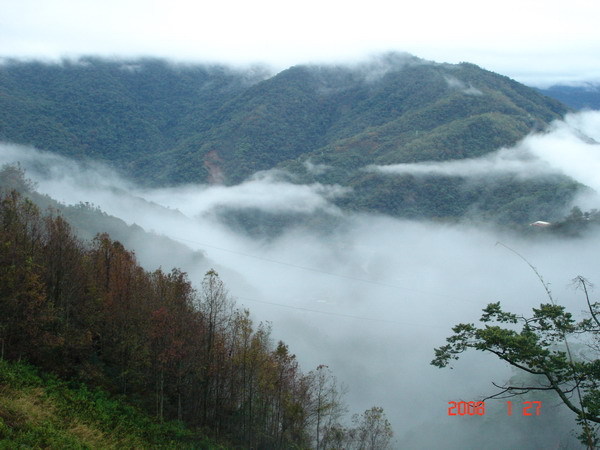 上清境的路上---很漂亮的雲海