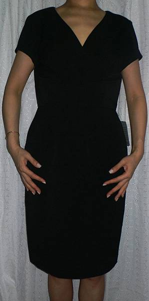 Sheath Dress