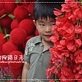 11-032