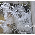 11-081