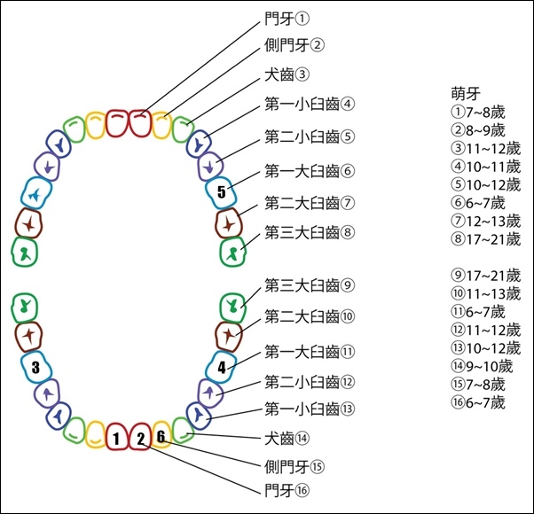 19-0371