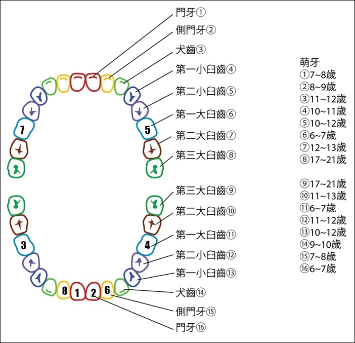 19-0523