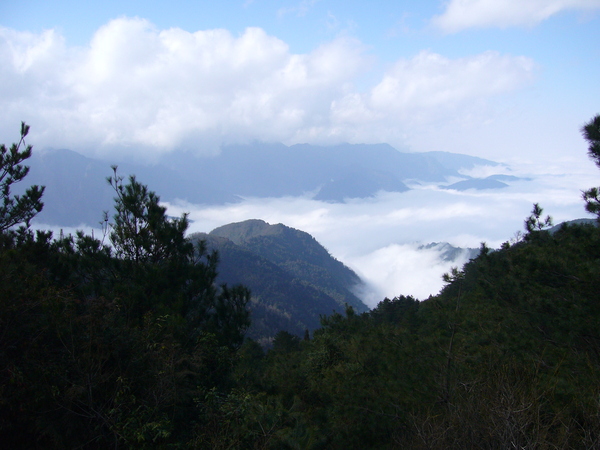 雲海＊