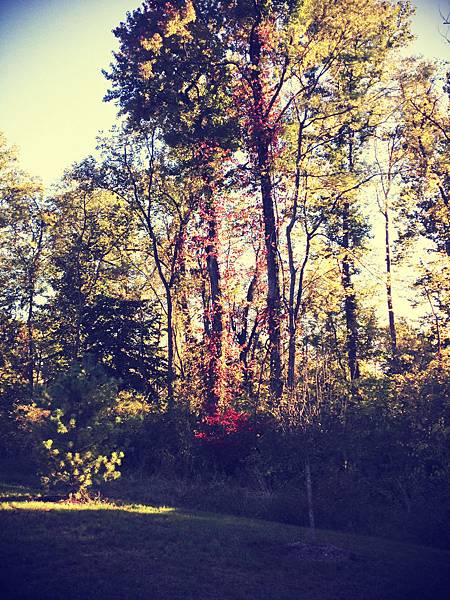 IMG_4825(2).jpg IMG_4825(2).jpg