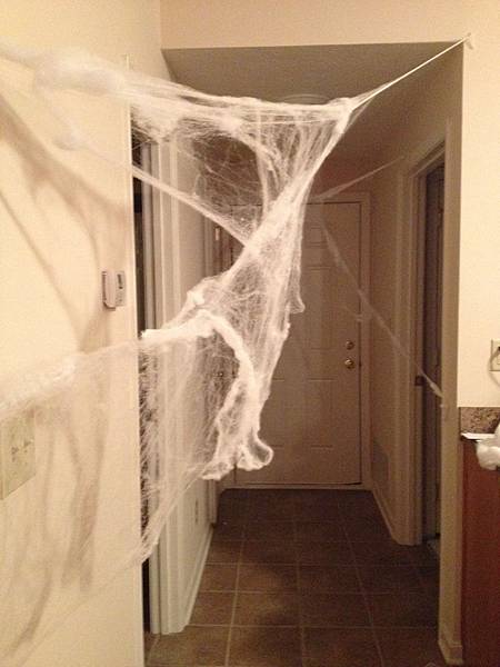 還裝了蜘蛛網