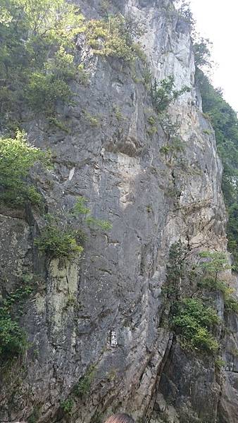 DSC_0191_1.JPG DSC_0191_1.JPG