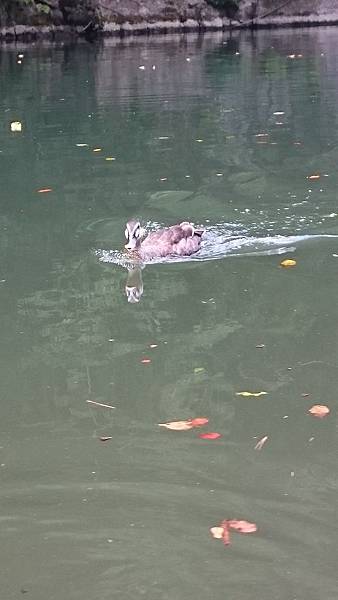 DSC_0170.JPG DSC_0170.JPG