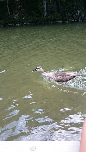 DSC_0173.JPG DSC_0173.JPG