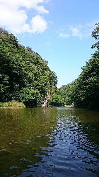 DSC_0203_1.JPG DSC_0203_1.JPG