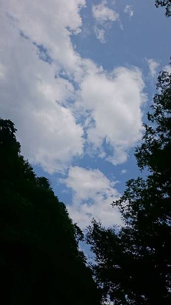 DSC_0180.JPG DSC_0180.JPG