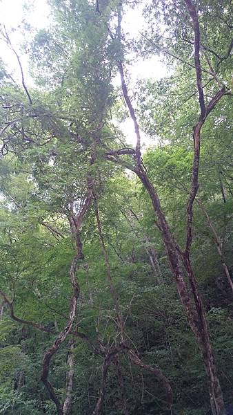 DSC_0177_1.JPG DSC_0177_1.JPG