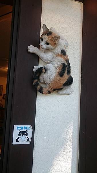 DSC_0017_13.JPG DSC_0017_13.JPG