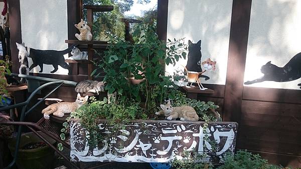 DSC_0020_13.JPG DSC_0020_13.JPG