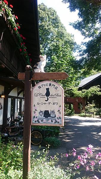 DSC_0015_15.JPG DSC_0015_15.JPG