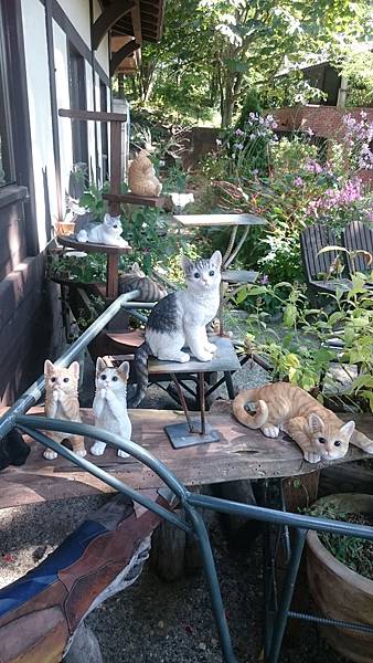 DSC_0016_17.JPG DSC_0016_17.JPG