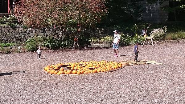 DSC_0024_8.JPG DSC_0024_8.JPG