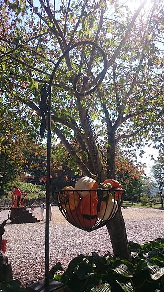 DSC_0022_14.JPG DSC_0022_14.JPG