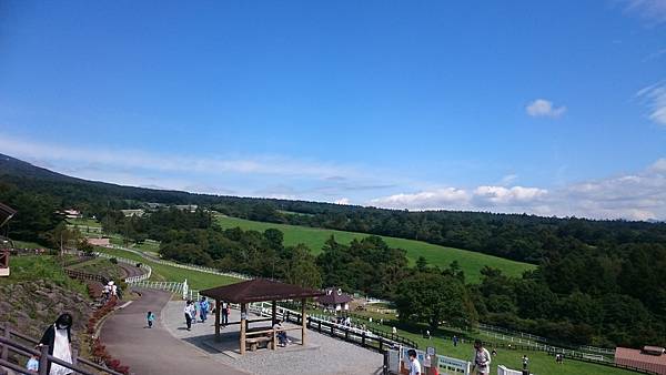 DSC_0033_14.JPG DSC_0033_14.JPG